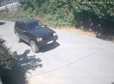 İstanbul'da Piknik Ateşi Yangına Neden Oldu: Panik Anları