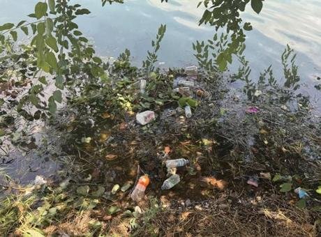 Adana'daki Seyhan Nehri'nde Temizlik Sorunu Turistleri Üzüyor