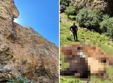Yaban Hayvanı Saldırısı: 26 Buzağı Kayalıklardan Düştü