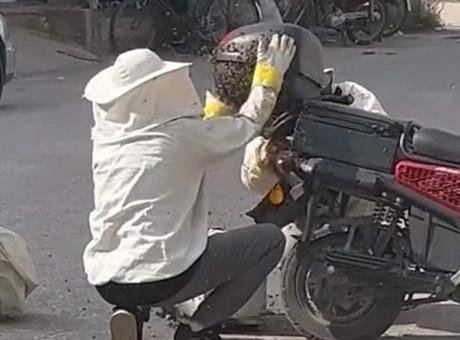 İnegöl'de Motosiklet Arıların Hedefi Oldu: Olay Anı Görüntülendi