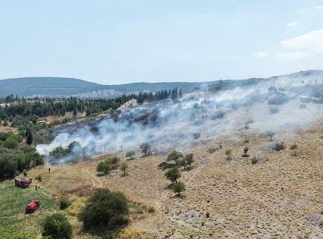 Muğla'daki Yangın: Orman ve Tarım Alanları Tehdit Altında