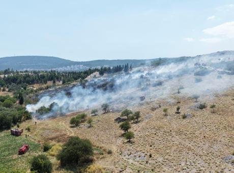 Muğla'daki Yangın: Orman ve Tarım Alanları Tehdit Altında