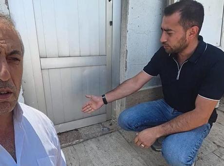Yağmur Sonrası Kurbağa Yağmuru: Sürü Halinde Geldiler!