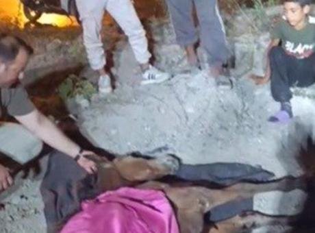 Düziçi'nde Minibüsün Çarptığı At Haybulans ile Kurtarıldı