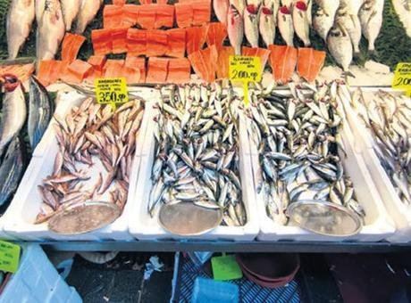 Levrek, Hamsiyi Geride Bırakarak Tahtını Geri Aldı