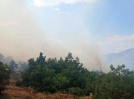 Malatya'da Orman Yangını: Yangınla Mücadele Başladı