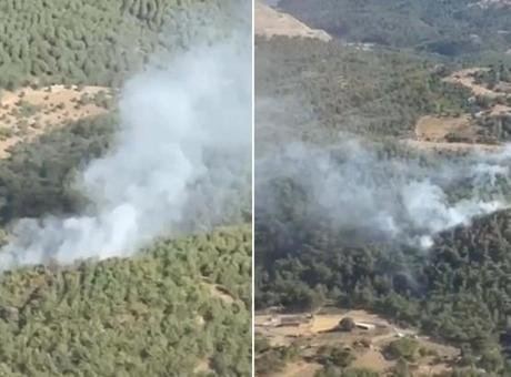 Balıkesir'de Orman Yangını: Havadan ve Karadan Mücadele Başladı