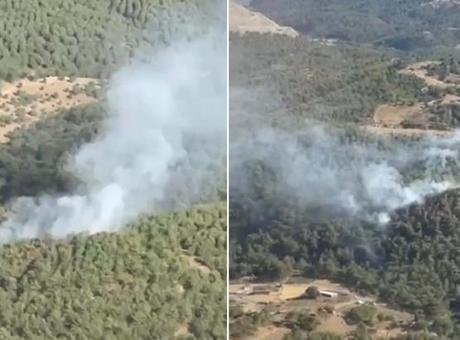 Balıkesir'de Orman Yangını: Havadan ve Karadan Mücadele Başladı