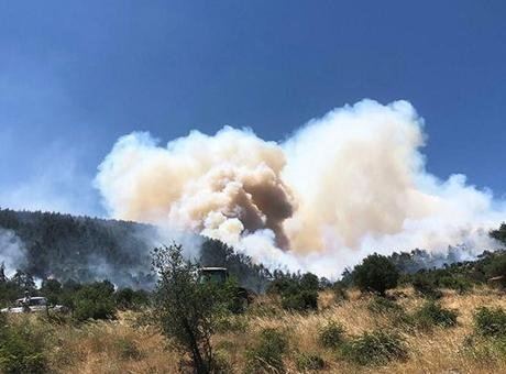 Balıkesir'de Yangın Alarmı: Hızla Yayılıyor, Ekipler Seferber Oldu