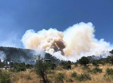Balıkesir'de Yangın Alarmı: Hızla Yayılıyor, Ekipler Seferber Oldu
