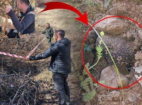Erzurum'da Trüf Mantarına Yönelik Büyük Keşif ve Yatırım