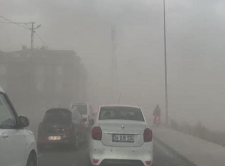 İstanbul'da Fırtına: Ağaçlar Devrildi, Çatılar Uçtu!
