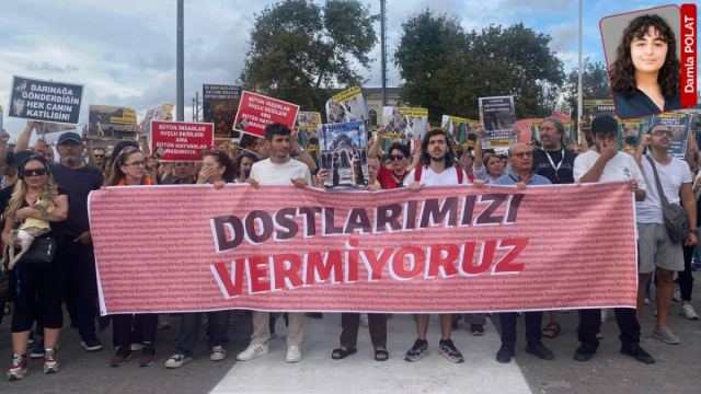 Hayvan Hakları İhlalleri İstanbul'da Artıyor