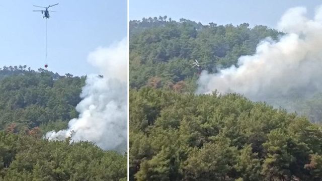 Kozan'da orman yangınına havadan ve karadan müdahale ediliyor