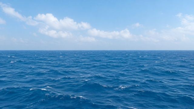 Endonezya'da 241 Kişiyi Taşıyan Gemi ile İrtibat Kesildi