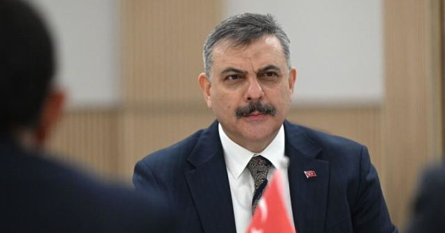 İstanbul'daki Sokak Hayvanlarının Yüzde 99,22'si Toplandı