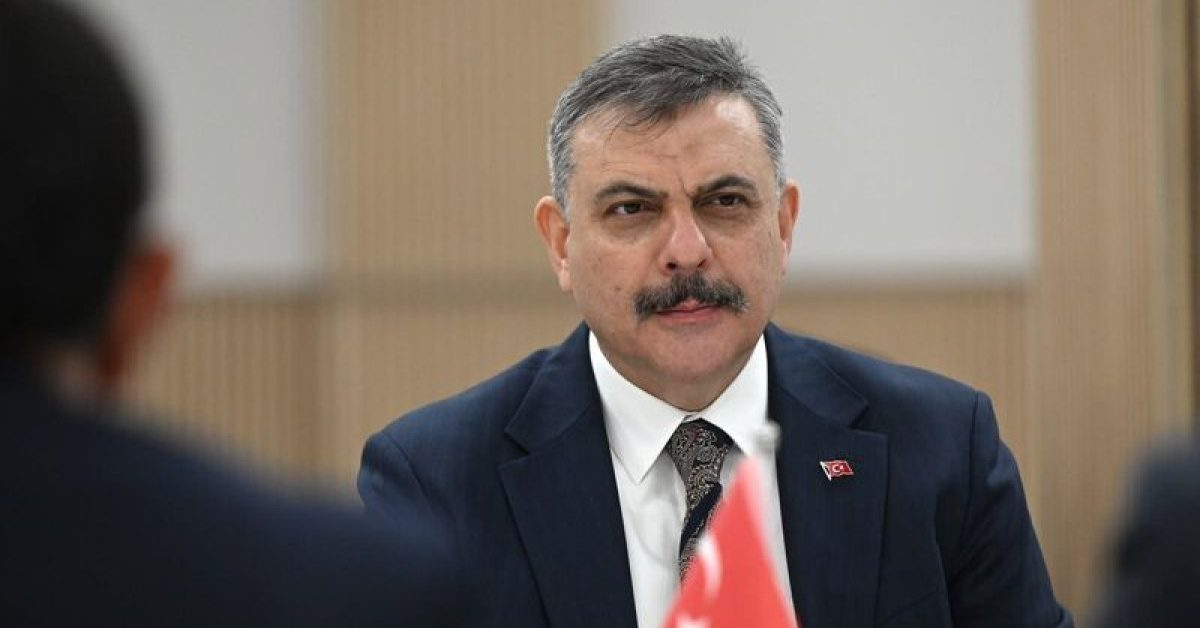 İstanbul'daki Sokak Hayvanlarının Yüzde 99,22'si Toplandı