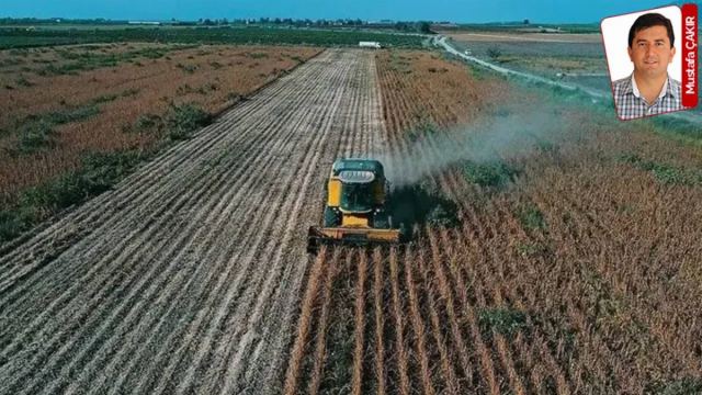 Mazot Fiyatı 98 Lira Olunca Tarla Ekiminde Kriz Başlıyor
