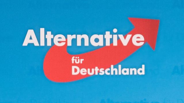 Almanya'da AfD, federal seçim anketinde yüzde 29 ile önde