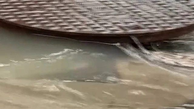 İstanbul'da sağanak ve fırtına Şişli'de ağaçları devirdi