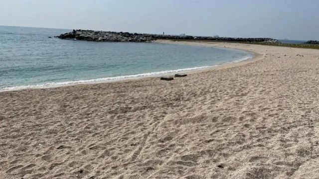 İstanbul'daki 3 Plaj Kirlilik Nedeniyle Kapatıldı