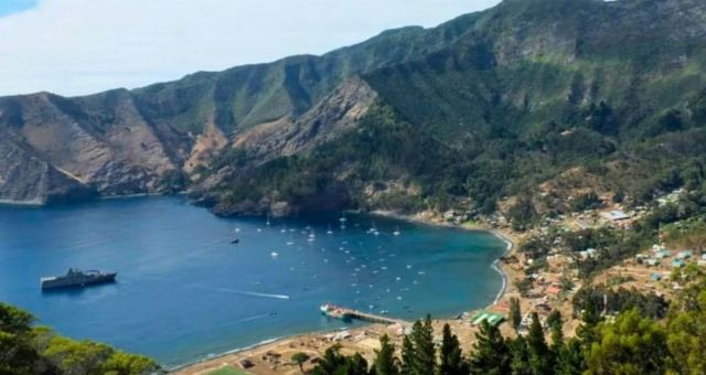 Robinson Crusoe Adası'ndaki orman 65 yıl sonra geri döndü