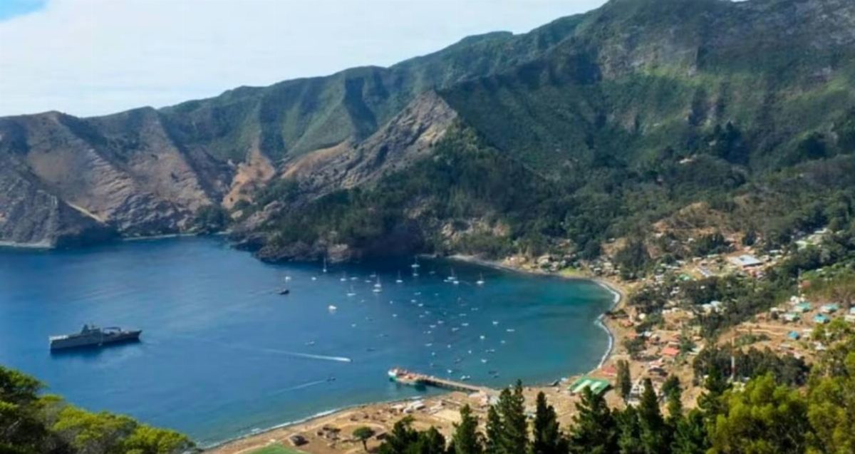Robinson Crusoe Adası'ndaki orman 65 yıl sonra geri döndü