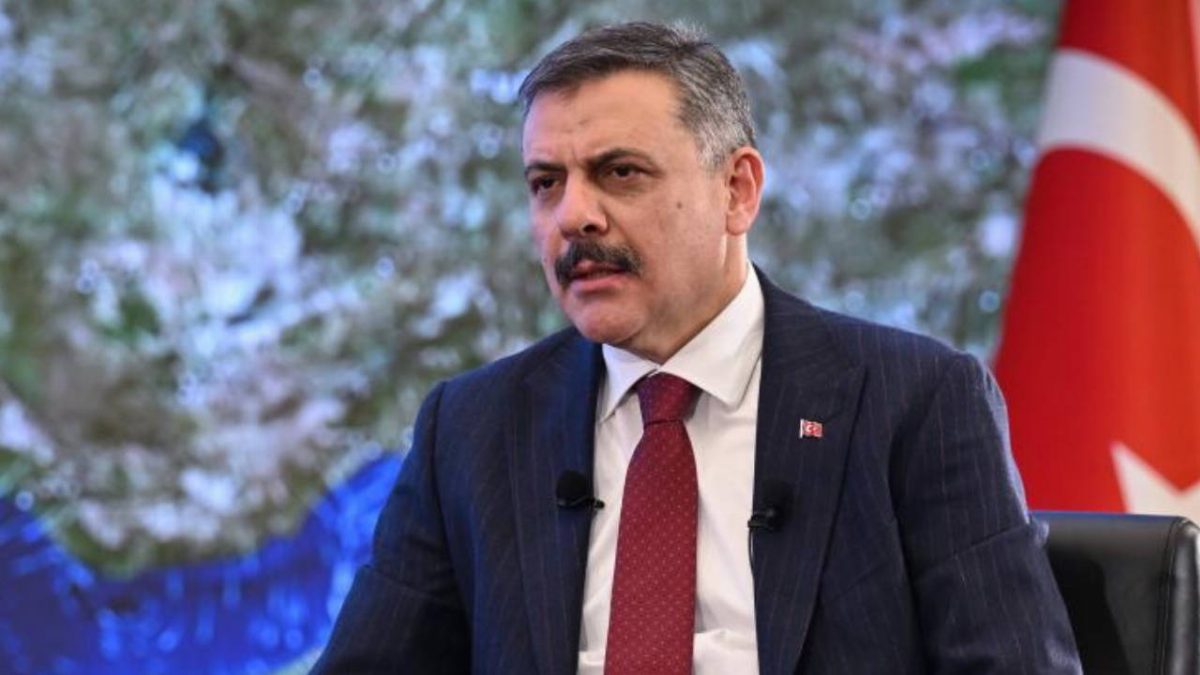 İçişleri Bakanı Çiftçi: Sahipsiz hayvan sorunu ekim sonunda çözülecek