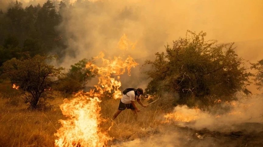 Sırbistan'daki Orman Yangını 52 Gün Sonra Söndürüldü