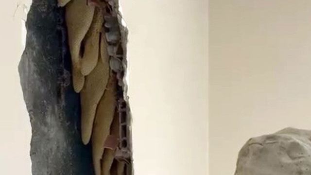 Avcılar'da Yıkım Sırasında 25 Kilogram Bal Bulundu