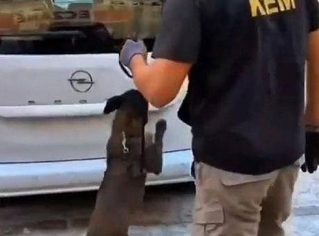 Balıkesir'de Uyuşturucu Operasyonu: 109 Bin Sentetik Hap Ele Geçirildi