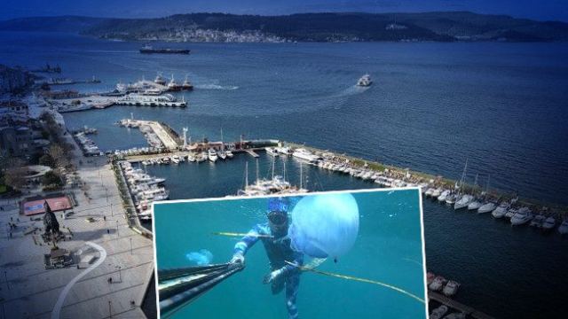 Çanakkale Boğazı'nda Mavi Denizanası Uyarısı Yapıldı