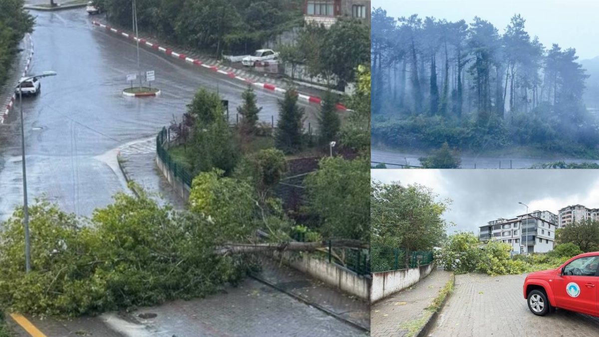 Bartın'da kuvvetli rüzgar elektrik direklerini devirdi