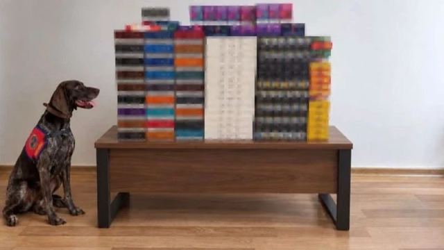 Bolu'da Yolcu Otobüslerinde Kaçak Tütün Operasyonu Gerçekleşti