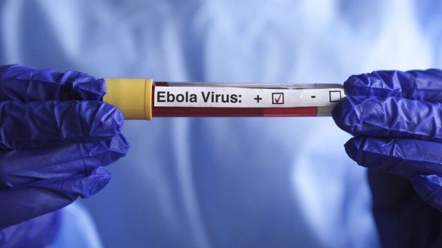 DSÖ, KDC'de Ebola Salgınının Devam Ettiğini Açıkladı