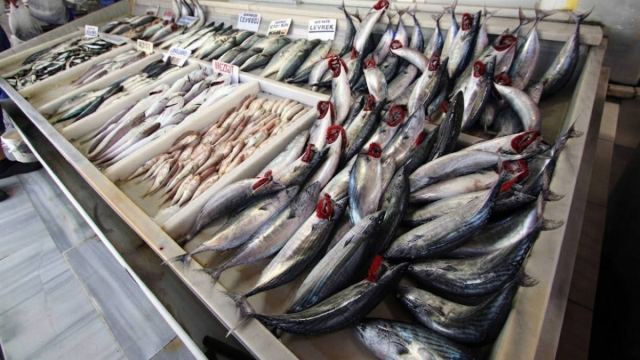 İstanbul'da Palamut Fiyatları 100 TL'ye Kadar Düştü