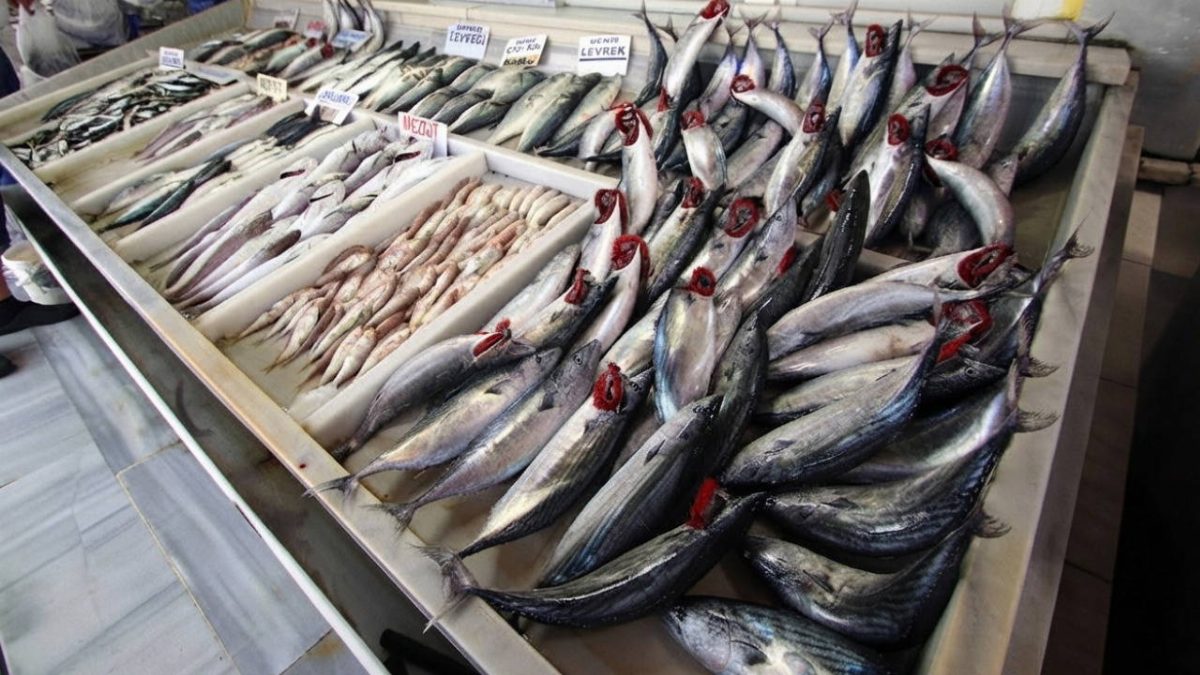 İstanbul'da Palamut Fiyatları 100 TL'ye Kadar Düştü