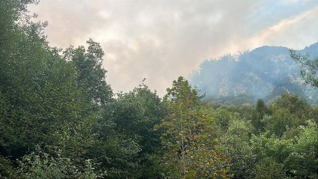 Hatay'da ormanlık alanda yangın çıktı