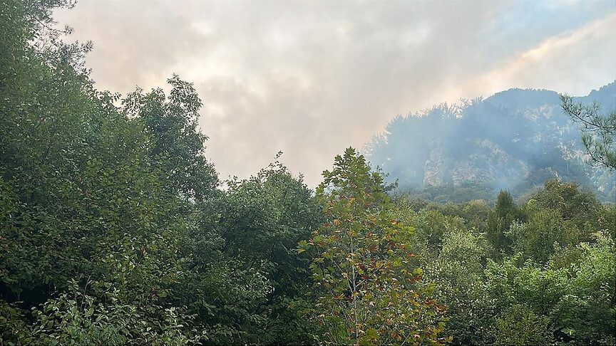 Hatay'da ormanlık alanda yangın çıktı