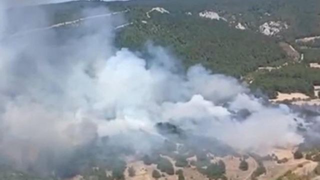 Balıkesir'de Orman Yangını Kontrol Altına Alınmaya Çalışılıyor