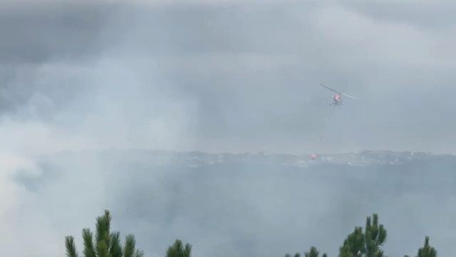 Arnavutköy'de ormanlık alanda yangına müdahale ediliyor