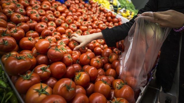 İstanbul'da ağustosta en çok karpuz ve domates tüketildi