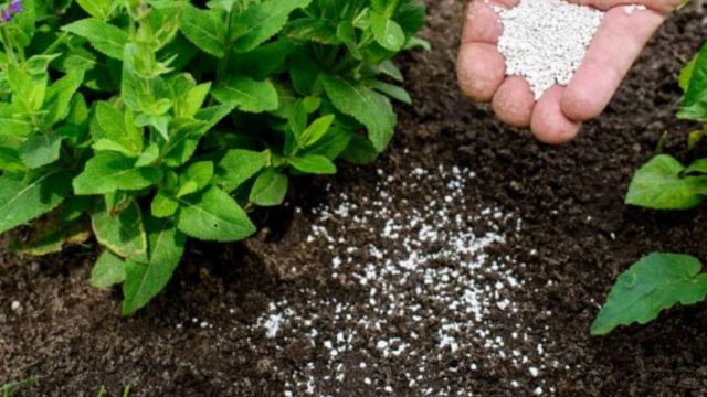 Doğal Gübrenin Önemi ve Fabrika Gübresi ile Dengesi