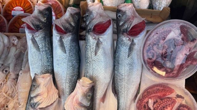İstanbul'da balıkçılık sezonu tezgahlara bolluk getirdi