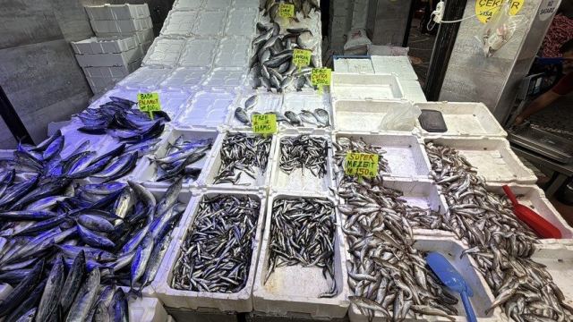 Karadeniz'de balık bolluğu İstanbul tezgahlarına yansıdı