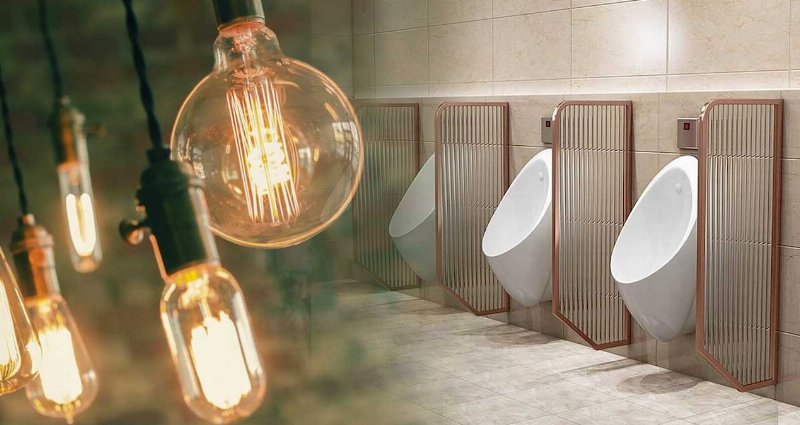 Tuvalet Molasıyla Elektrik Üretimi: Hollanda'nın Yenilikçi Çözümü
