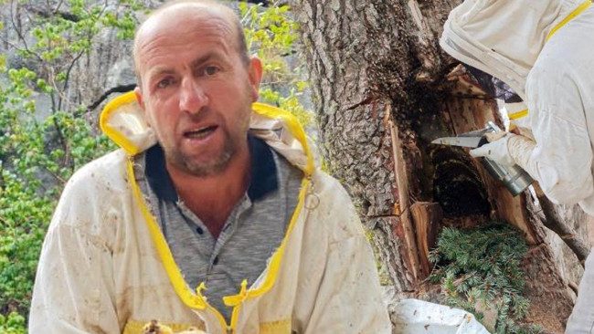 İbrahim Topaca, Akseki'de Arı Yuvalarını Takip Ediyor
