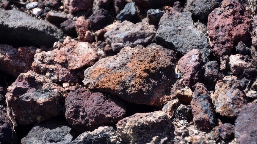 ABD ile Litvanya Kritik Mineraller Anlaşması imzaladı