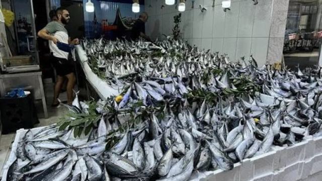 İstanbul'da Balık Tezgahlarında Bolluk Yaşanıyor