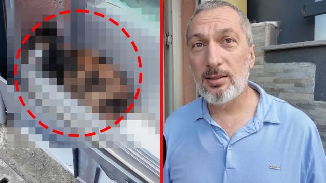 Arnavutköy'de Emlak Ofisinde Yavru Kedi Sesleri Duyuldu